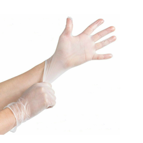 Pal Vinyl Gloves Powder Free – Clear - GHC